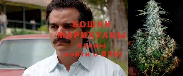 соль ск Верея