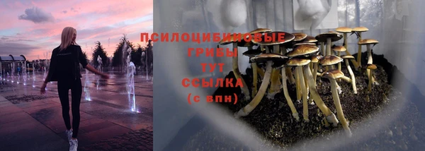 соль ск Верея