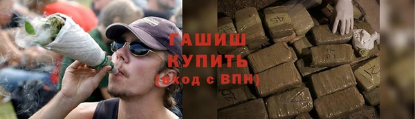 крисы Верхний Тагил
