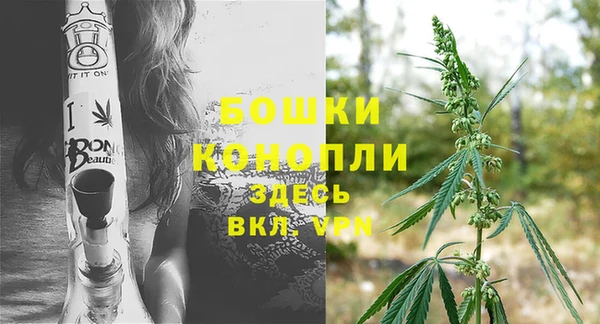 крисы Верхний Тагил