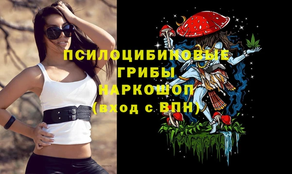 соль ск Верея