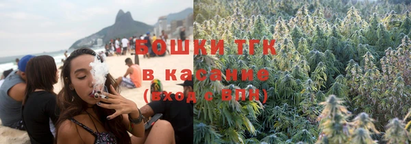 крисы Верхний Тагил