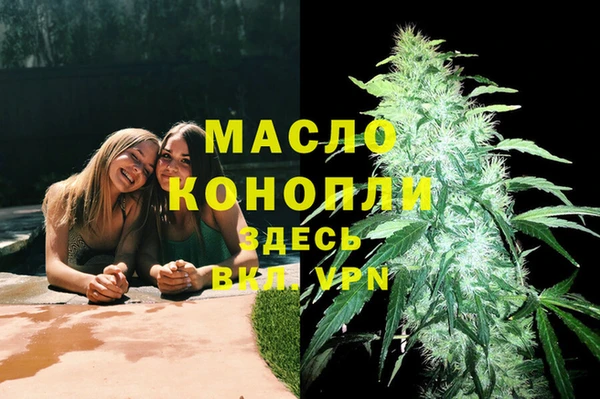 крисы Верхний Тагил