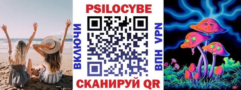 закладка  Наволоки  Псилоцибиновые грибы Magic Shrooms 